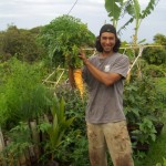 Our 1st home grown carrot