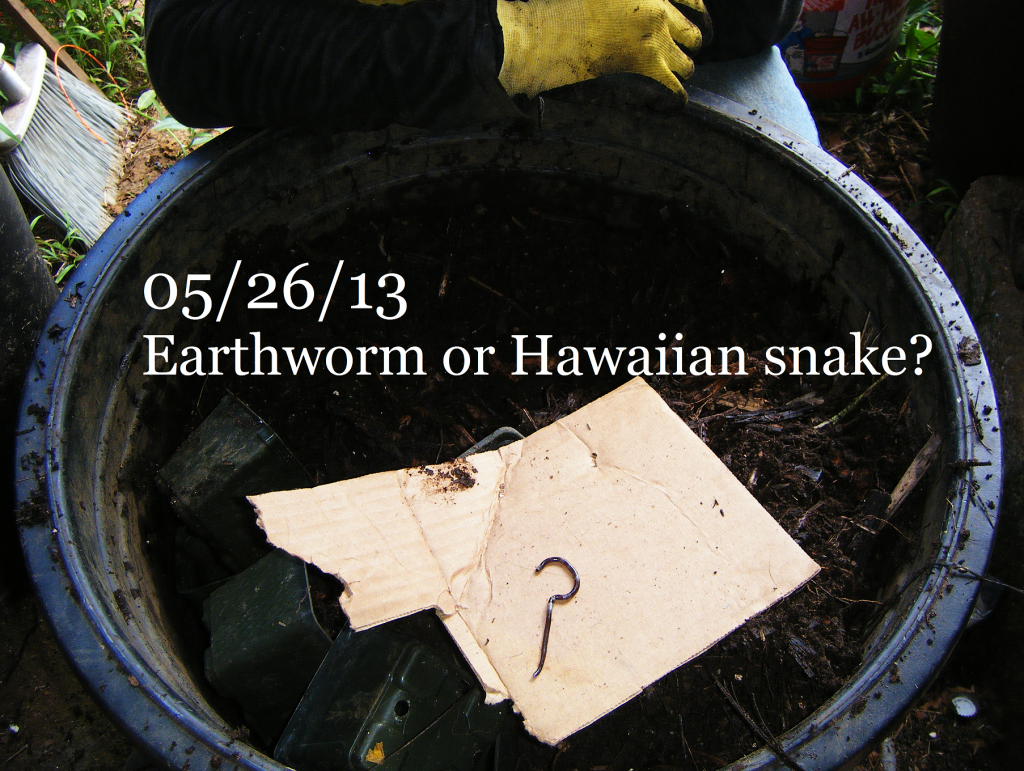 May 26 Earthworm or hawaiian snake