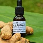 turmeric extract