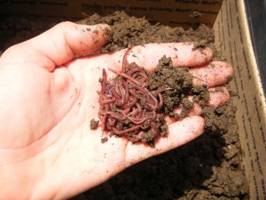 Composting